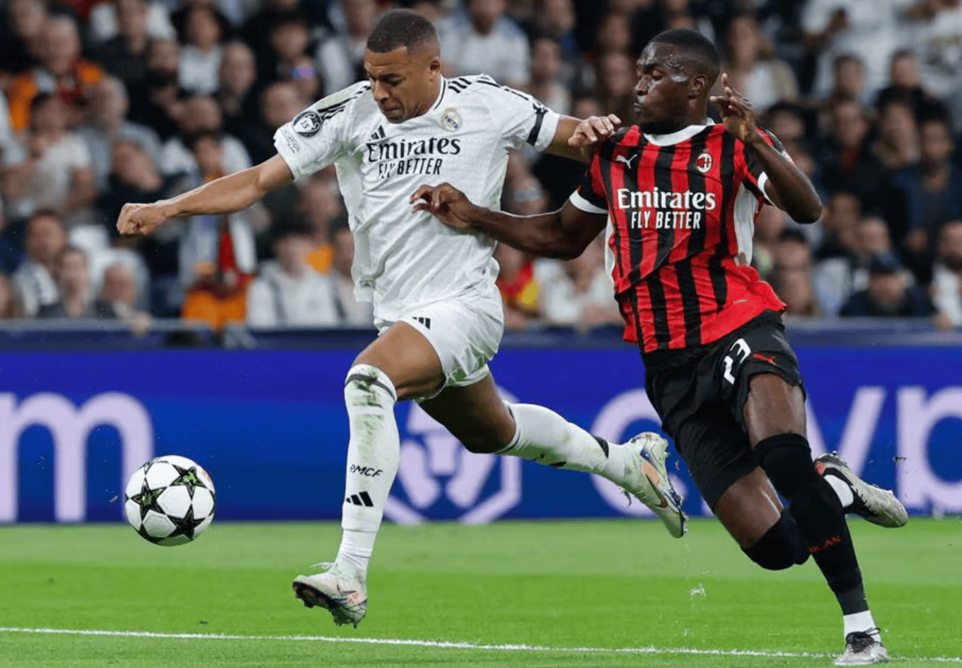 他还是组织 他还是组织